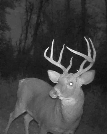 trail camera
