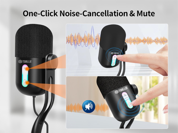 Noise canceling mic