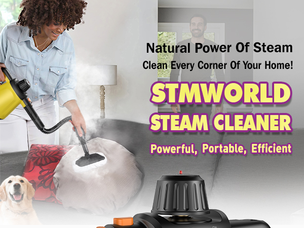 steam cleaner