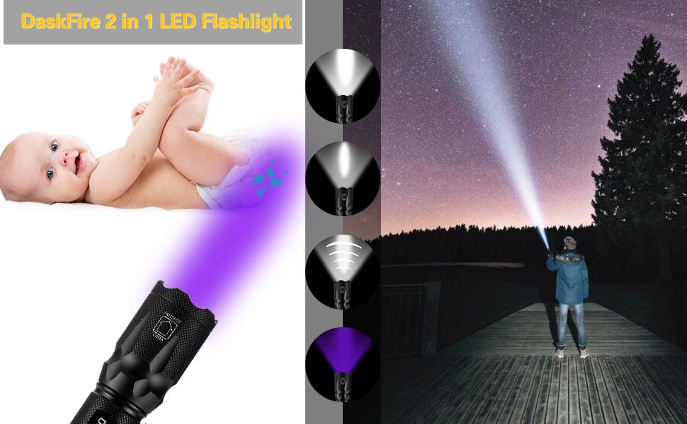 blacklight for bed bugs alt=“blacklight for bed bugs” 