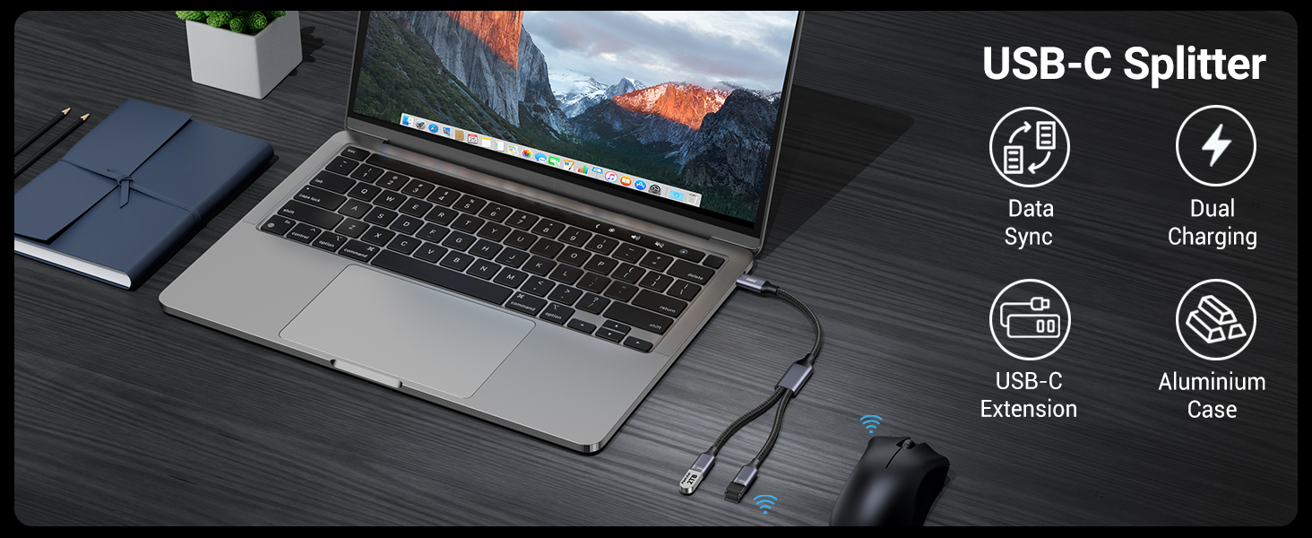 USB-C to USB-C Splitter