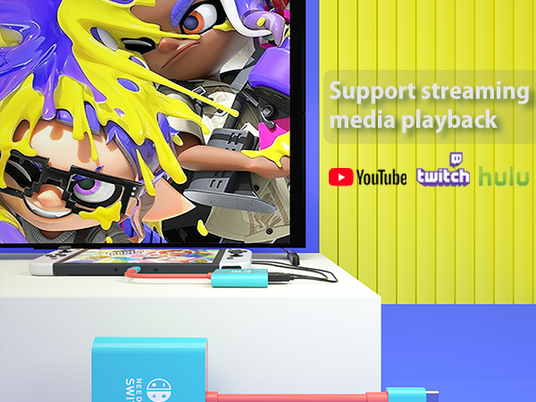 nintendo switch dock adapter