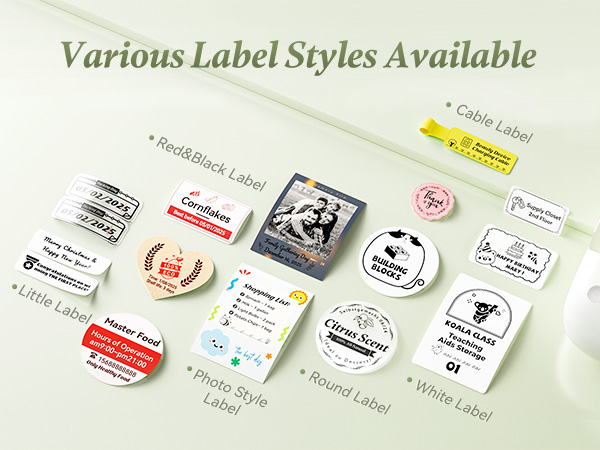 NIIMBOT B2 Label Maker Machine with Photo Labels