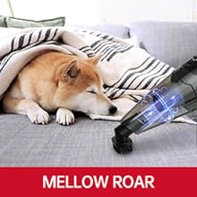 Handheld Vacuum Cordless