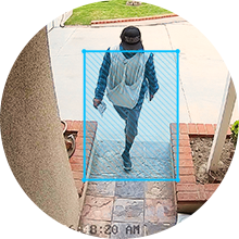 Motion Detection Zone