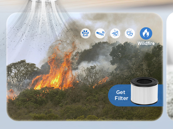 air purifiers for home large room