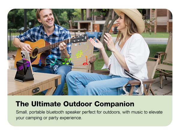 Wireless Induction Speaker