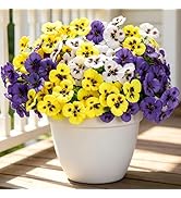 YAOLMSSY Artificial Pansies Flowers for Outdoors, 12 Pcs Faux Silk Pansy Flower UV Resistant Fake...