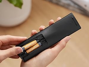 Basics Triple AAA Alkaline Batteries