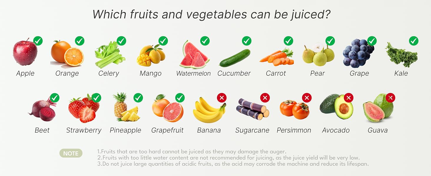 cold press juicer