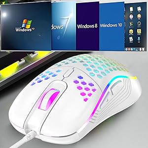 mouse Windows