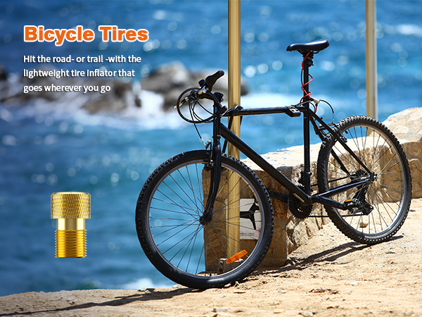 Bicyble Tire Pump