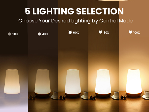 Touch Lamp