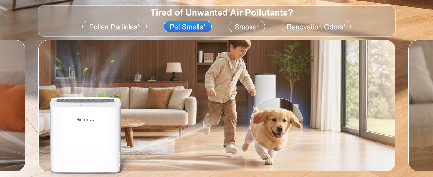 Air purifiers for rooms
