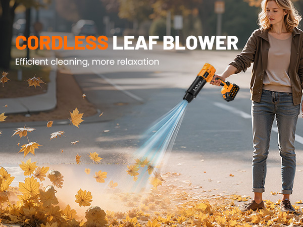 Cordless Leaf Blower