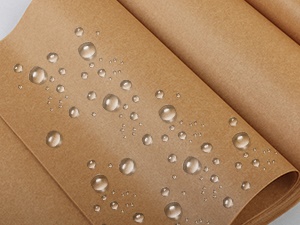 Parchment Paper