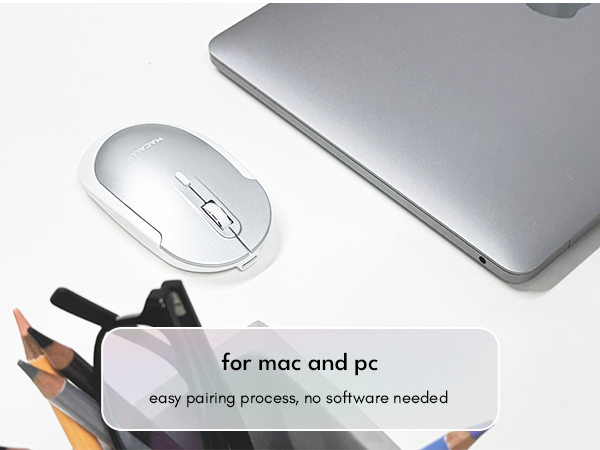 mouse