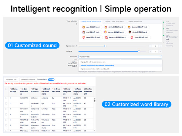AI voice interaction module Customized voice command development