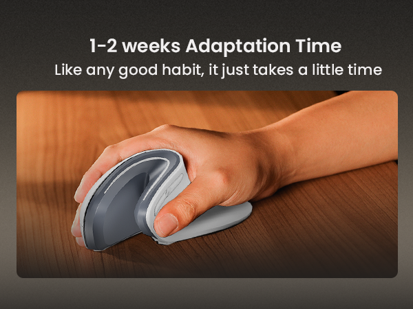 Ergonomic Mouse