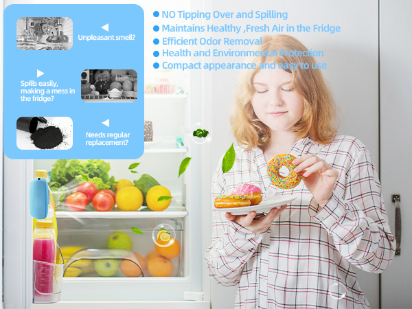 fridge deodorizer