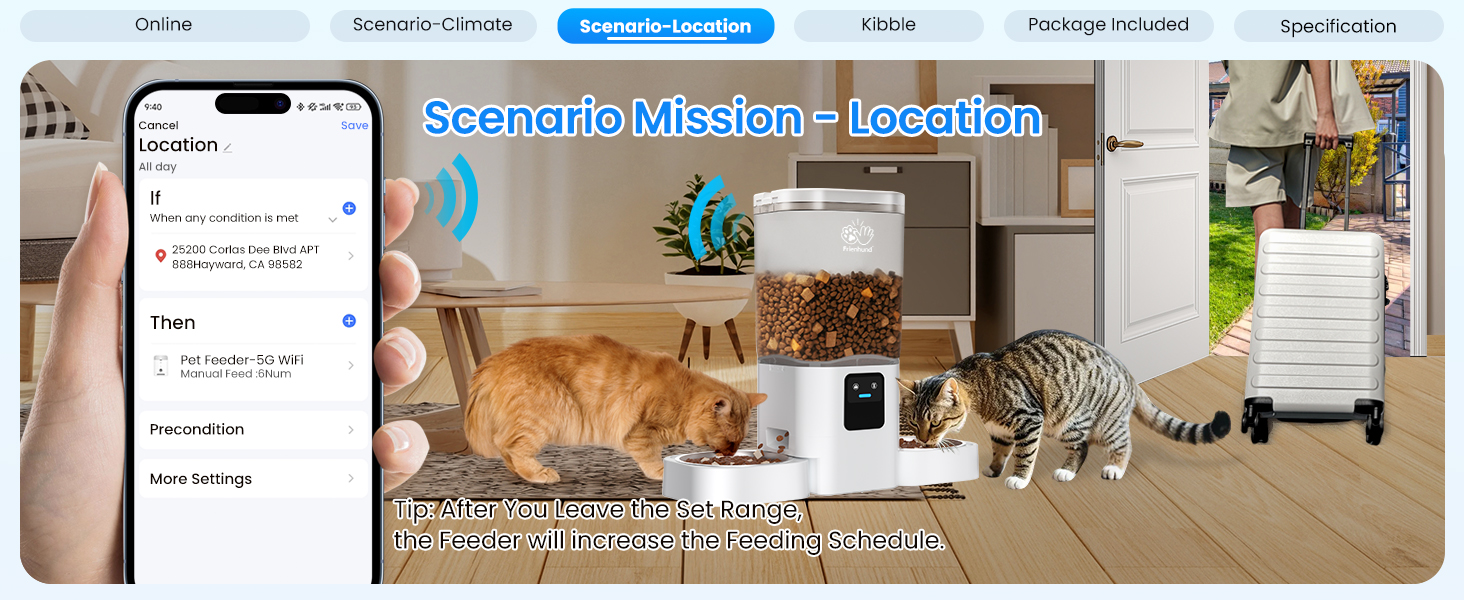 auto cat feeder dry food