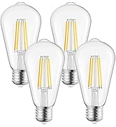 Brightown Edison Light Bulbs, 4Pcs Vintage 6 Watt Light Bulbs E26 Base Non-Dimmable Decorative An...