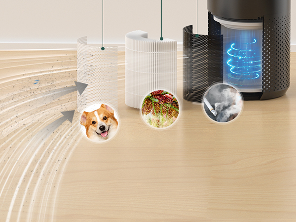 air purifier for home