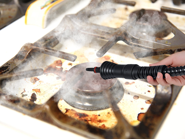 Pressurized Steam Cleaner