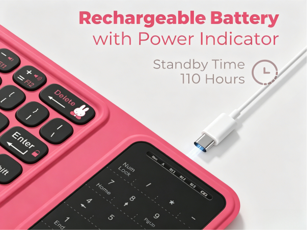 Rechargeable Battery with Power Indicator