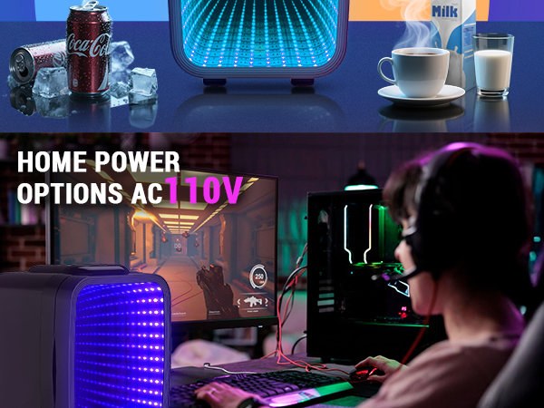 Mini Fridge Small Refrigerator Portable Thermoelectric Cooler and Warmer Fridge