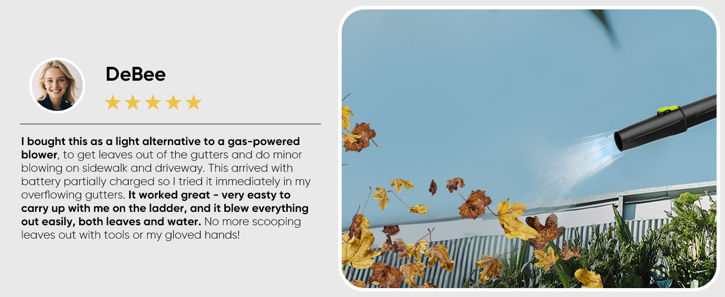 cordless leaf blower