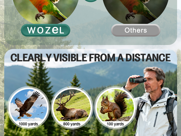 binoculars for adults high powered