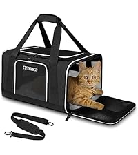 https://m.media-amazon.com/images/I/41vAlTR9mtL.__AC_SR200,225___.jpg