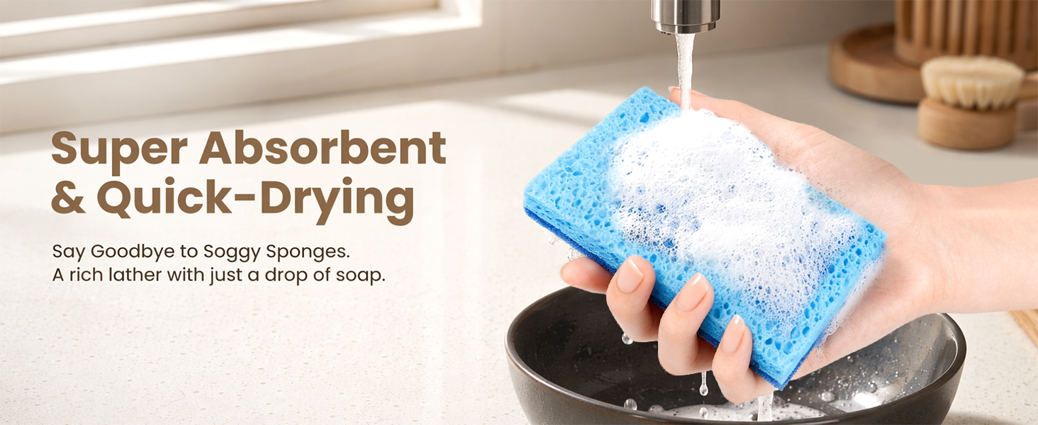 kitchen sponges