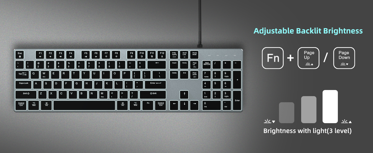 adjustable backlit brightness