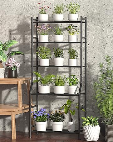 https://m.media-amazon.com/images/S/aplus-media-library-service-media/ad843cb8-4cde-476e-b405-16c1ca3061dc.__CR0,86,2308,2888_PT0_SX362_V1___.jpg