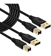USB A to USB B Printer Cable 10FT,2Pack USB 2.0 Type A Male to Type B Male Scanner Cable High Spe...