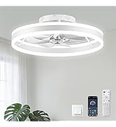 Ceiling Fans with Lights and Remote, 20” Low Profile Ceiling Fan, 2700-6500K Color Temperature, 6...