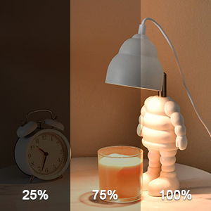 gu 10 class bulb led two prong light bulb