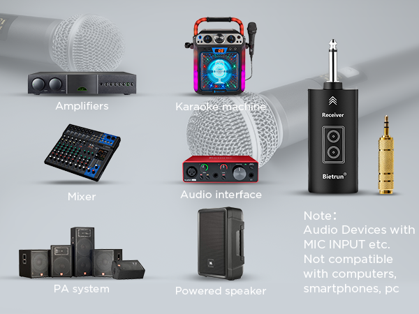 wireless microphone dual