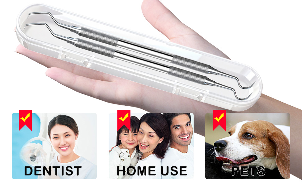 dental kit oral care tools