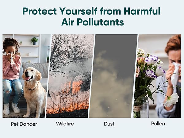air purifier