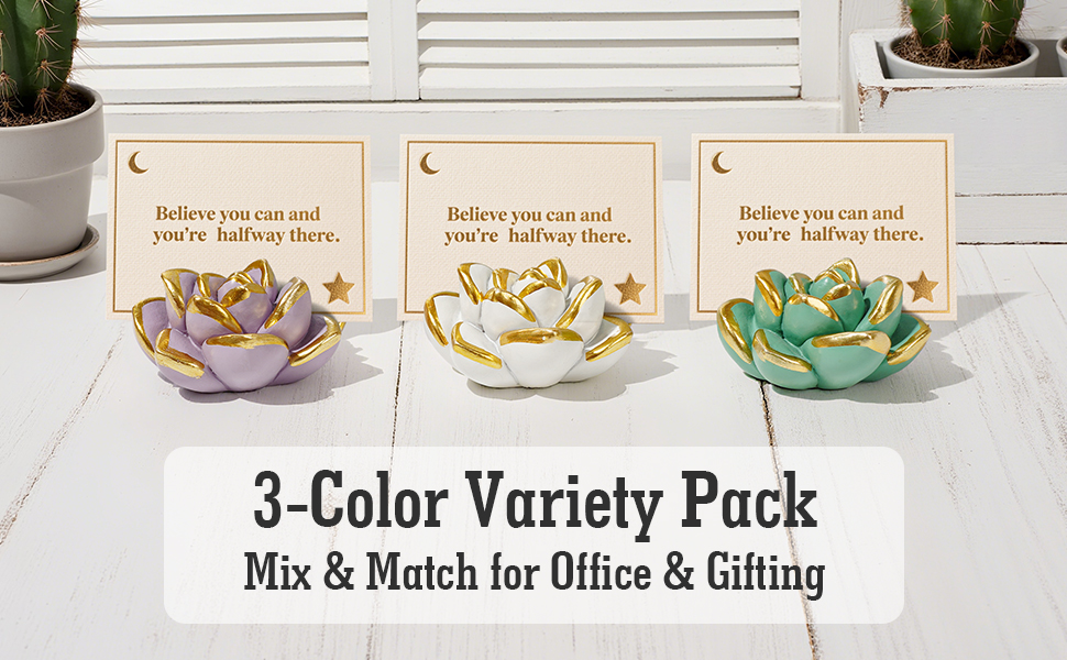 Resin Succulent Business Card Holder