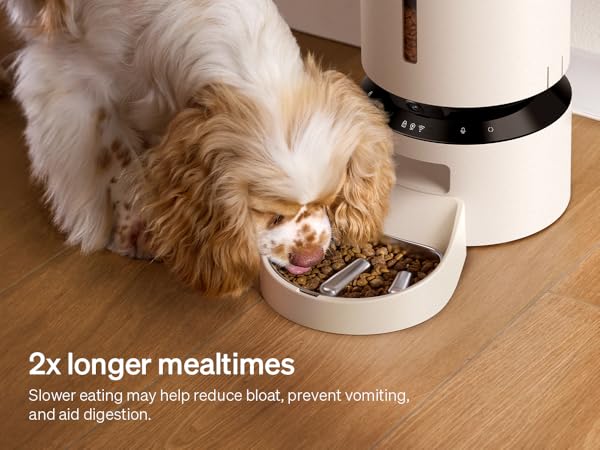 2x slow feeding bowl