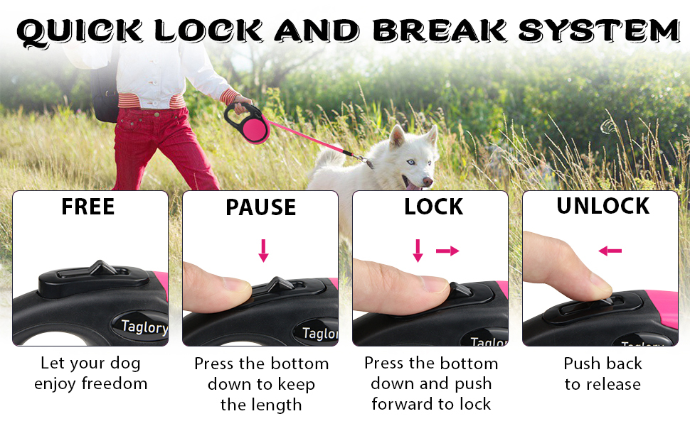 retractable dog leash