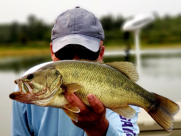 mono fishing line