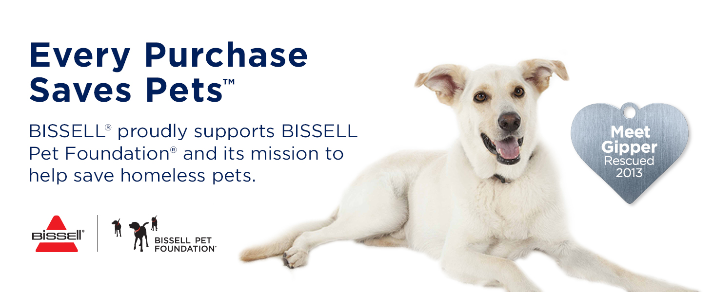 spot and stain formula, carpet shampoo, carpet cleaner, carpet cleaner formula, stain remover