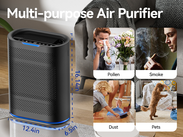 Home Air Purifier