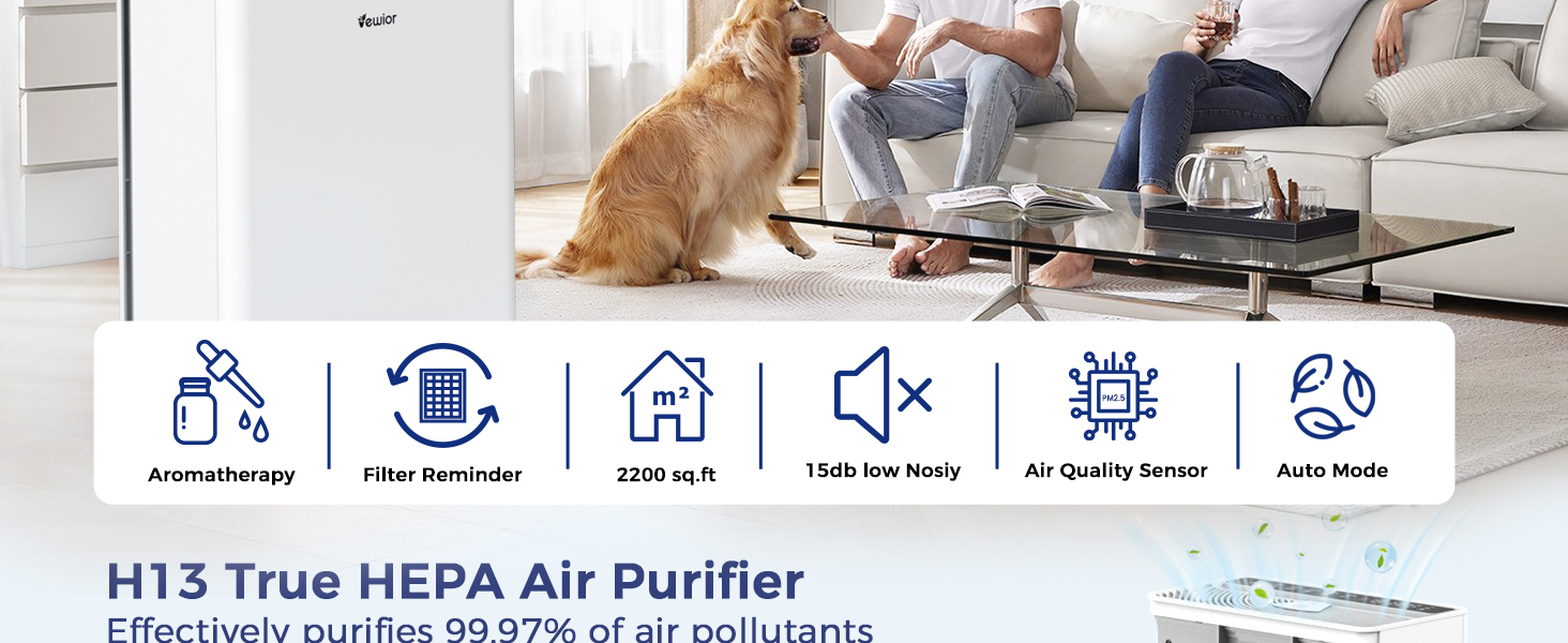 air purifier for home large room