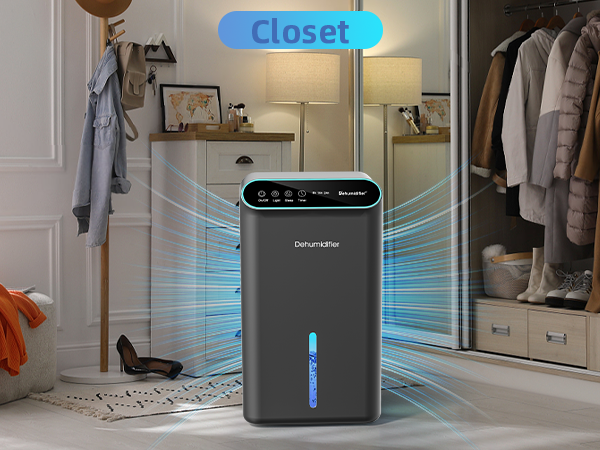 dehumidifier for closet